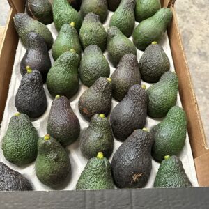 Paquete de aguacates Hass - 30 piezas