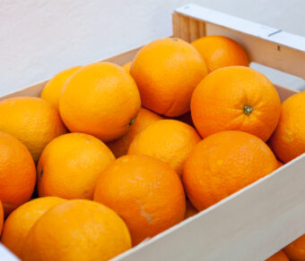 Naranja - Variedad Navelina - Por kg