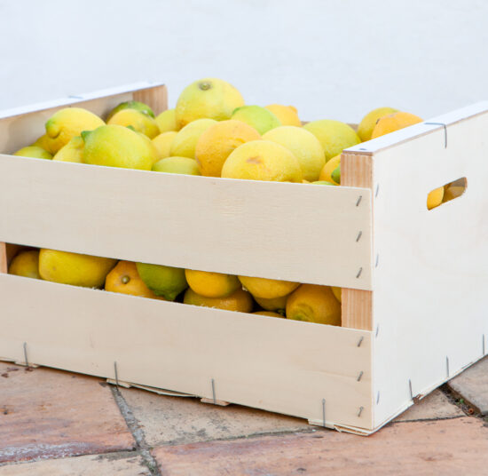 Limón: pack de 20 kg