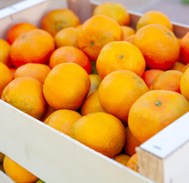 Mandarina - Variedad Clemenvilla - Envase de 15 kg