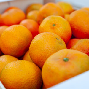 Mandarinas - Variedad Ortanique / kg