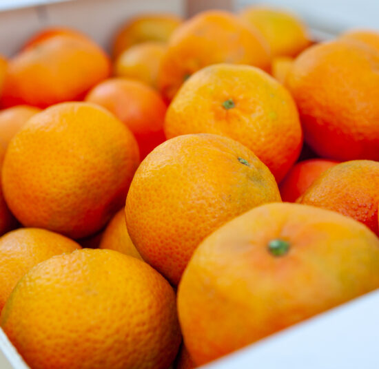 Mandarinas - Variedad Ortanique / kg