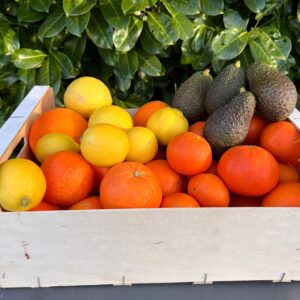 Paquete de Frutas Variadas 8 - Naranjas Sanguinas, Naranjas, Mandarinas, Limones, Pomelos y Aguacates