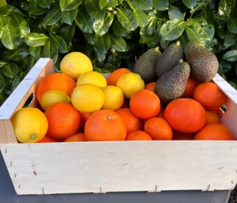 Paquete de fruta mixta 4: naranjas, mandarinas, limones y aguacates
