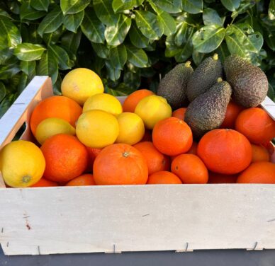 Paquete de fruta mixta 4: naranjas, mandarinas, limones y aguacates