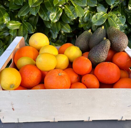 Paquete de fruta mixta 4: naranjas, mandarinas, limones y aguacates