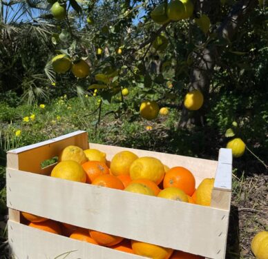 Paquete de Frutas Variadas 3: Naranjas y Limones