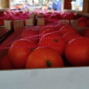 Mandarina variedad Clemenvilla - Caja Pitufo de 2,3 kg