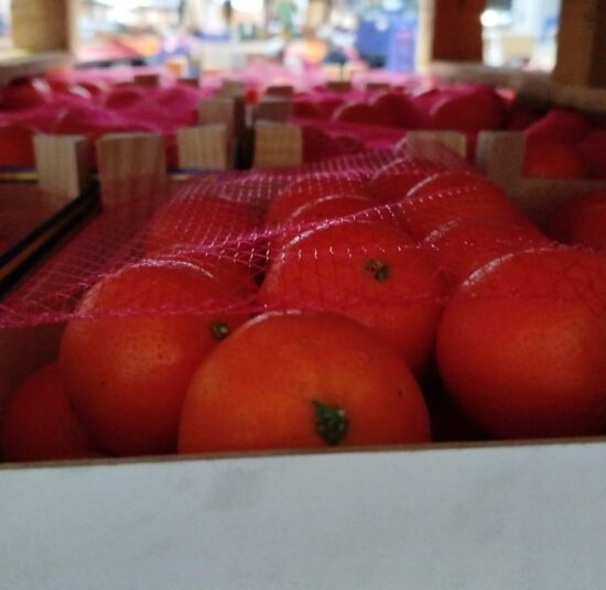 Mandarina variedad Clemenvilla - Caja Pitufo de 2,3 kg