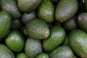 avocados