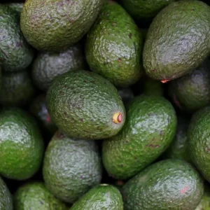 Paquete de aguacates Bacon - 30 piezas