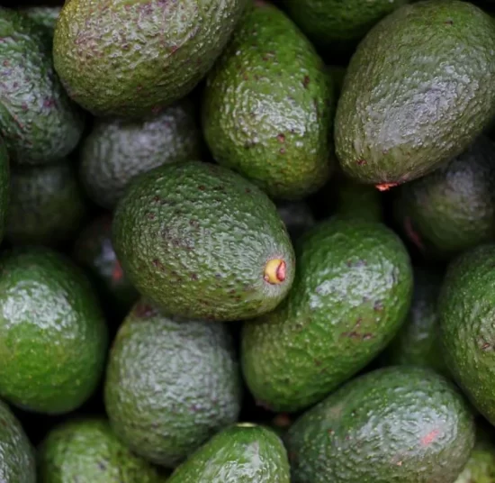 Paquete de aguacates Bacon - 30 piezas