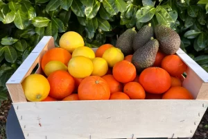 fruit-mix-boxes