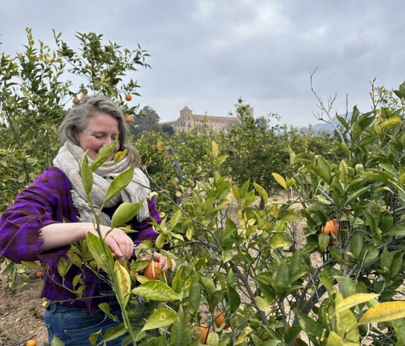 Fleur harvesting Tarocco Rosso